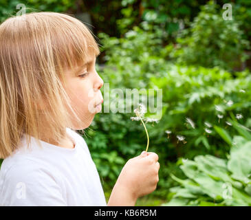 Little girl blowing dandelion flower in a summer garden Stock Photo