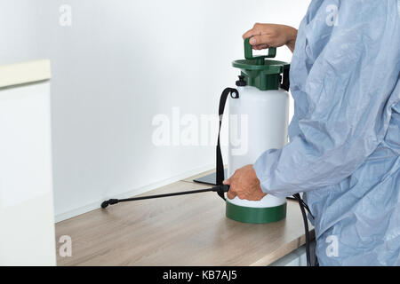 Midsection of exterminator spraying pesticide on kitchen counter Stock Photo