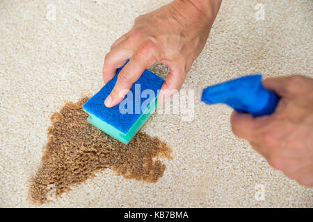 Cropped image of male janitor cleaning stain on carpet with sponge Stock Photo