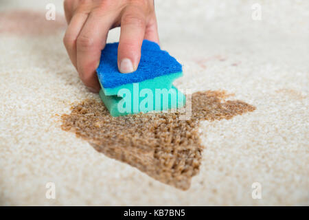 Cropped image of male janitor cleaning stain on carpet with sponge Stock Photo
