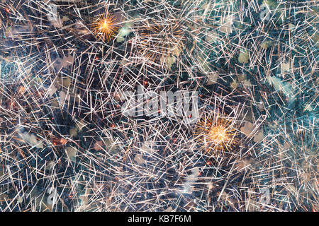 Colorful fireworks against dark sky Stock Photo