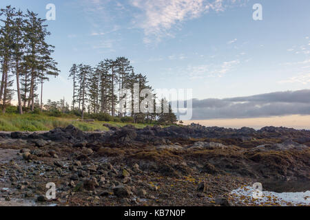 Ucluelet, British Columbia, Canada - 8 September 2017: Big Beach along West Pacific Trail at sunset Stock Photo
