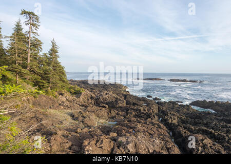 Ucluelet, British Columbia, Canada - 9 September 2017: West Pacific Trail near Ucluelet at sunset Stock Photo