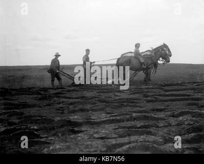 AJAXNETPHOTO. 1903. CANADA, EXACT LOCATION UNKNOWN. - TURNING THE EARTH - TWO MEN DRIVING A TEAM OF HORSES TOWING A PLOUGH; A SMALL BOY IS SAT ASTRIDE THE HORSE NEAREST CAMERA. PHOTOGRAPHER:UNKNOWN © DIGITAL IMAGE COPYRIGHT AJAX VINTAGE PICTURE LIBRARY SOURCE: AJAX VINTAGE PICTURE LIBRARY COLLECTION REF:AVL 1473 Stock Photo