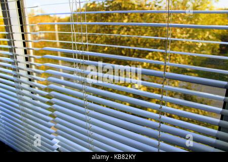 White horizontal aluminium blinds on the windows. Stock Photo