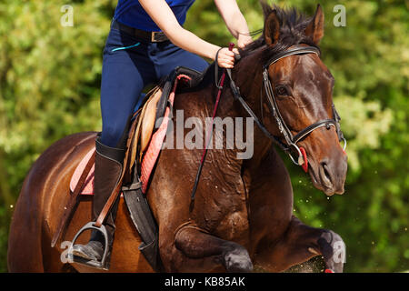 Close-up picture of running bay horse with rider Stock Photo