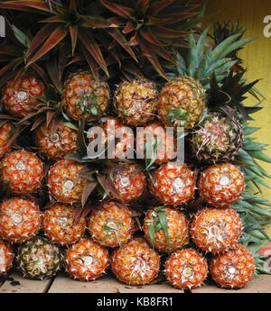 Pineapples stacked high at the farmstand - Puerto Vallarta, Mexico Stock Photo
