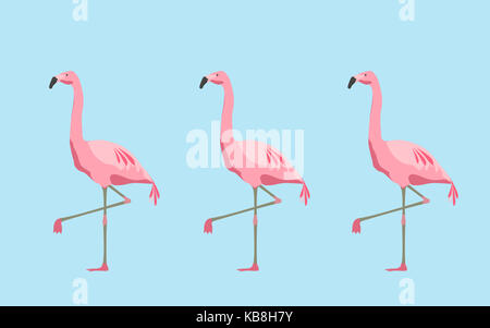 pink flamingo birds over blue background Stock Photo