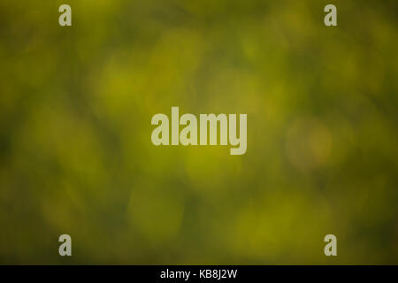 Abstract background to be used as a background, texture, or part of composite. Stock Photo