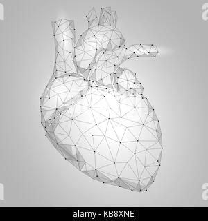 Human Heart Internal Organ Triangle Low Poly. Connected dots white gray neutral color technology 3d model medicine healthy body part vector illustration Stock Vector
