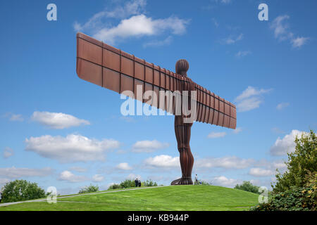 The Angel of the North is a contemporary sculpture, designed by Antony Gormley, located in Gateshead in Tyne and Wear, England. Completed in 1998 Stock Photo