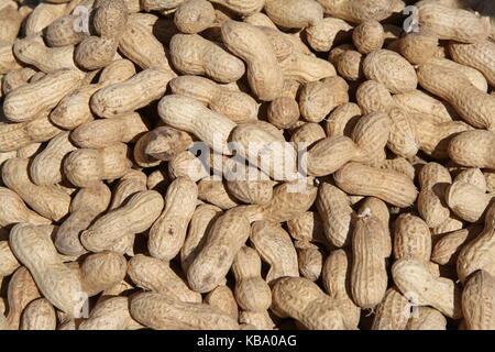 Erdnüsse - Peanuts - formatfüllend Stock Photo