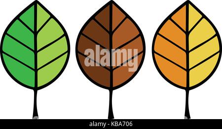 SET OF LEAVES IN SEASONS CYCLE Stock Vector