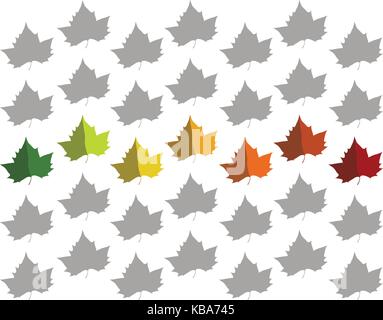 Platan leaves color cycle in a fall texture Stock Vector