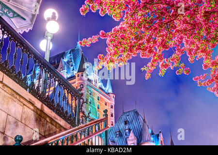 Quebec City, Canada - May 31, 2017: Illuminated crabapple blossom tree by escalier Chateau Frontenac hotel by funiculaire, night evening lamps, lanter Stock Photo