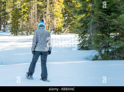 Woman Snow Shoes in Utah Forest through clear drift Stock Photo