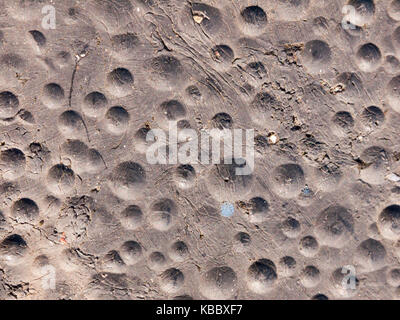 plastic bubble top covering texture background up close; Essex; England; UK Stock Photo
