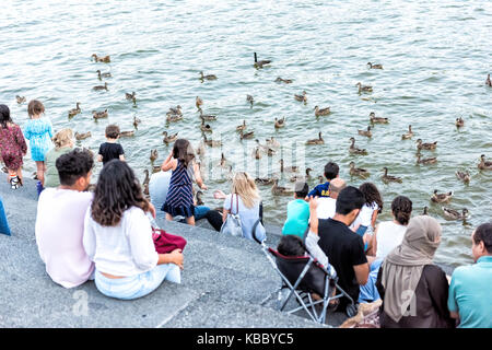 Washington DC, USA - August 4, 2017: People sitting in Georgetown Waterfront park on riverfront in evening with potomac river feeding ducks, geese Stock Photo