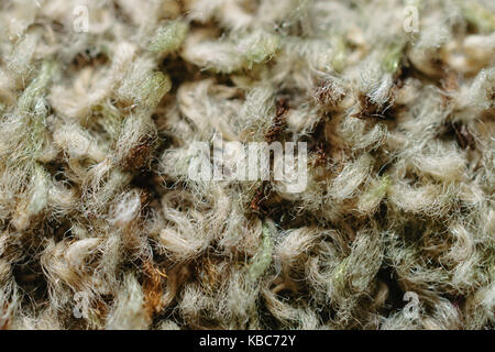 Extreme Close-Up Of Faded Olive Green Fibers Woven In Pattern Stock Photo
