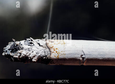 Extremely Detailed Close-Up Of One Cigarette Burning And Emanating Smoke Stock Photo