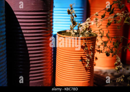 Side Angle View Of Vibrantly Colored Orange Paint Can With Dried Plants Bathing In Sunlight Stock Photo