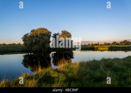 Weeping willow trees at a pond, Home Park, Hampton Wick, Richmond upon Thames, Surrey, England, UK Stock Photo