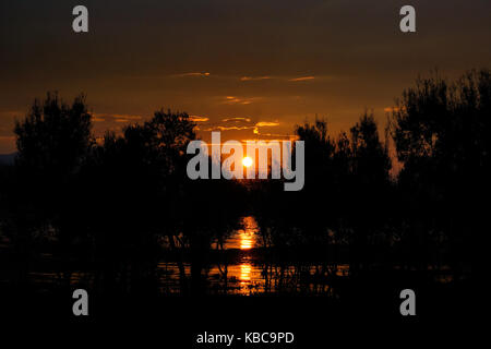 Orange sun reflecting on water while rising up behind dark black silhouette river trees in the early morning sky. Stock Photo