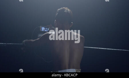 Boxer looks in the phone. Rear view of a boxer who looks match his rival on the phone Stock Photo