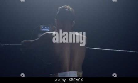 Boxer looks in the phone. Rear view of a boxer who looks match his rival on the phone Stock Photo