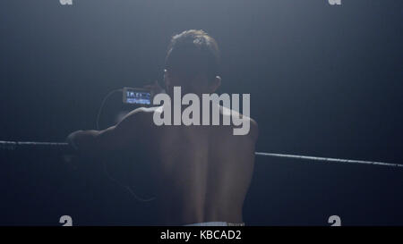 Boxer looks in the phone. Rear view of a boxer who looks match his rival on the phone Stock Photo