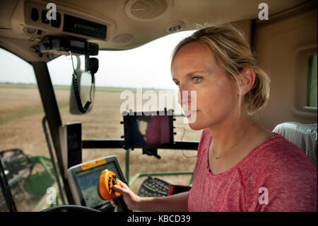 A YOUNG FEMALE FARMER HARVESTS WHEAT ON THE FAMILY FARM NEAR BRECKENRIDGE, NORTH DAKOTA Stock Photo