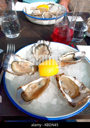 Plate of Oysters on ice in a restaurant in Brussels, Belgium Stock Photo