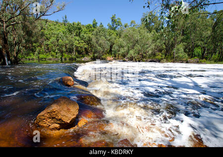 The Murray River at Lane Poole Reserve near Dwellingup Stock Photo - Alamy