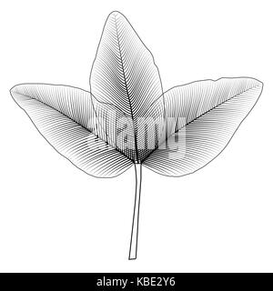 Naturalistic autumn leaves on White. Vector Illustration. Stock Vector