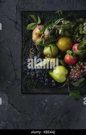 Variety of autumn fruits ripe organic apples, three kind of grapes, pears with leaves on metal ornate tray over dark texture background. Top view with Stock Photo