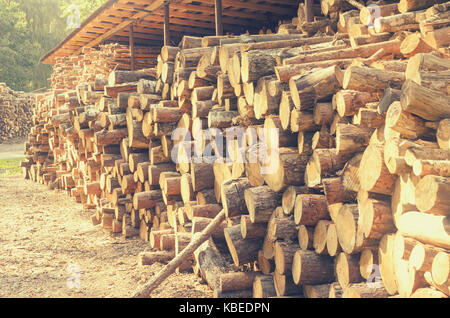 The felled logs of the trees in the sawmill are stacked Stock Photo