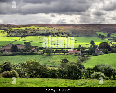 The Esk Valley in Summer near Danby North York Moors Yorkshire England Stock Photo