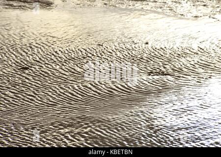 Ripple marks in the wet sludge of the North Frisian Wadden Sea near Hallig Oland, 22 April 2016 | usage worldwide Stock Photo