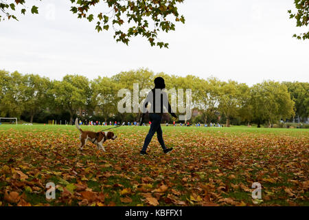 North London, UK. 3rd Sep, 2017. Autumnal colours in a north London park. A woman walks her dog in a park covered with dry autumn leaves. Credit: Dinendra Haria/Alamy Live News