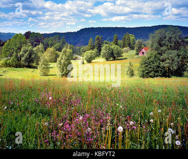 A summer view of the fertile, flowering countryside of South Norway Stock Photo