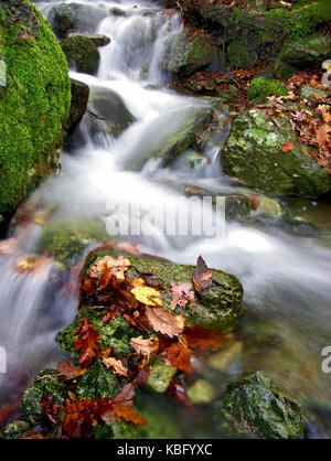 A colourful view of a small, fast flowing river during autumn in the Lake District, England, UK Stock Photo