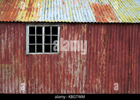 Old painted corrugated tin shed.  Bledington, Cotswolds, Gloucestershire. UK Stock Photo
