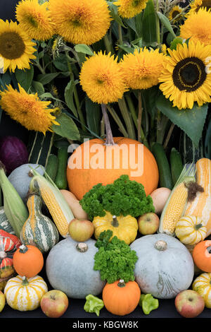 Vegetable and flower displays at an Autumn Show. UK Stock Photo
