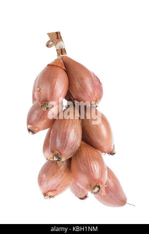 shallots braid on white background Stock Photo