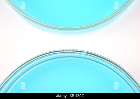 Petri dishes of copper sulphate solution isolated on white background Stock Photo