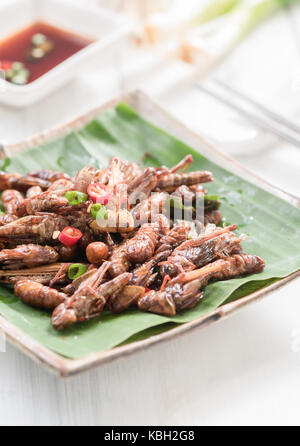 Fried grasshoppers and fried worm or fried silkworms, edible insect eating and local food in Thailand Stock Photo