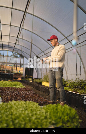 Young farmer using digital tablet in greenhouse Stock Photo