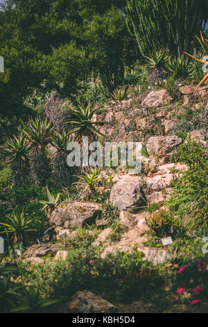 Barcelona Botanical Gardens, Barcelona Spain Stock Photo