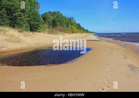 Beach by Peipsi lake, Estonia Stock Photo