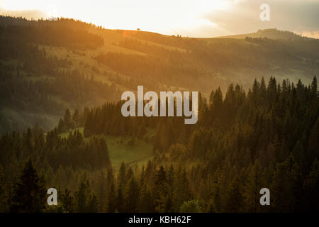 Ray of sunlight at sunset shining through the fog. The mountains. Forest. Stock Photo
